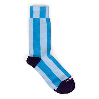Socks - You Look Nice Today