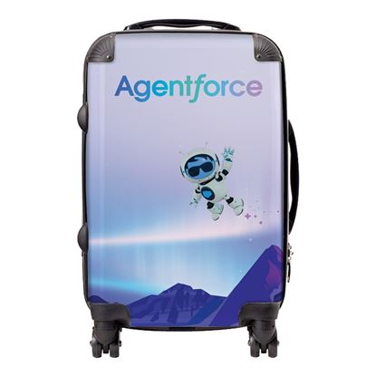 Traveller Carry-on Suitcase